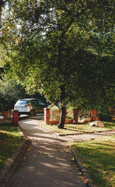 89fd83d3d6e077d2f61735e9ef3f07762093765a